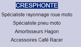 elecbiz Lyon - scooters électriques